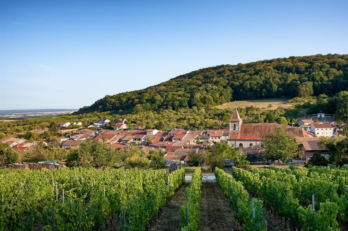 ROUTE TOURISTIQUE DES COTES DE TOUL