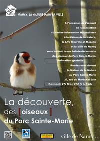 BALADE DECOUVERTE DES OISEAUX DU PARC STE MARIE 1